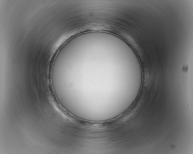 X0000113640986200909181325