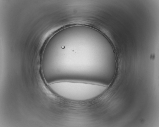 X0000113640987200909181325