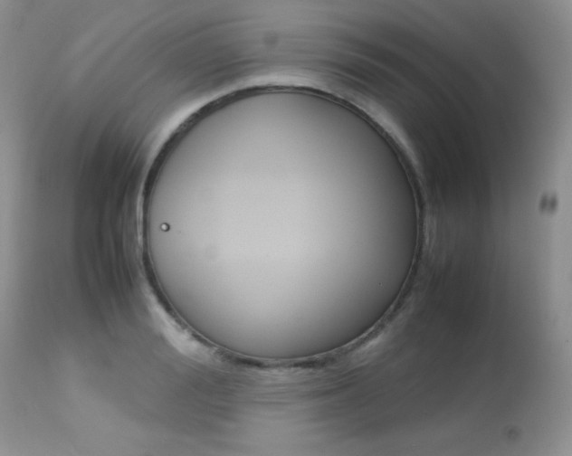X0000113640988200909181325