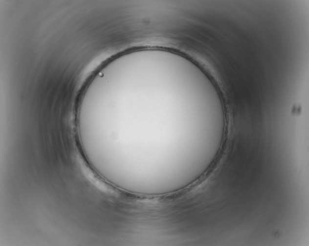 X0000113640990200909181325