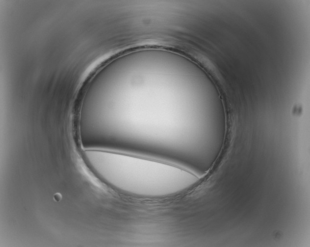 X0000113640991200909181325