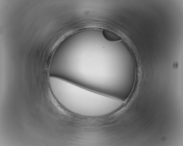 X0000113640993200909181325