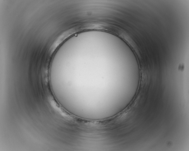 X0000113640994200909181325