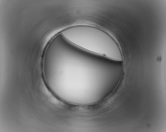 X0000113640995200909181325
