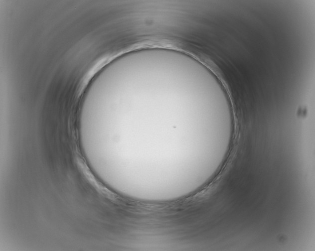 X0000113640997200909181325