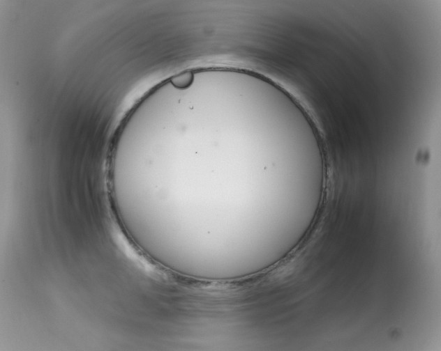 X0000113640998200909181325