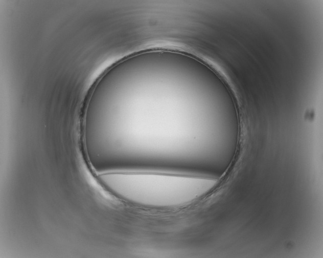 X0000113640999200909181325