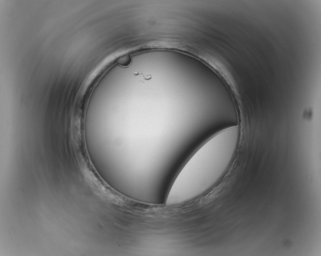X0000113641000200909181325