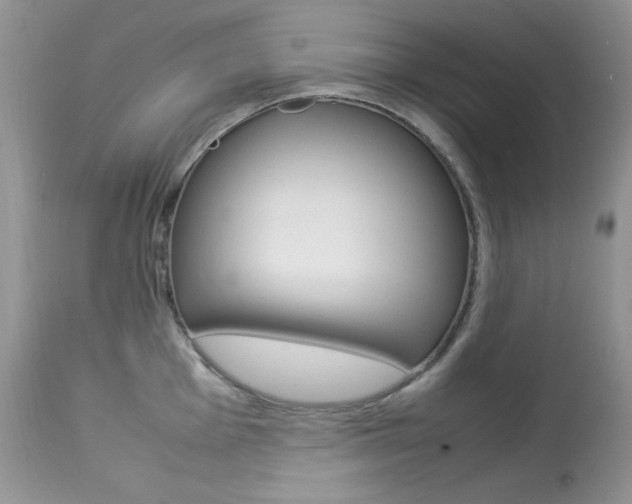 X0000113641001200909181325