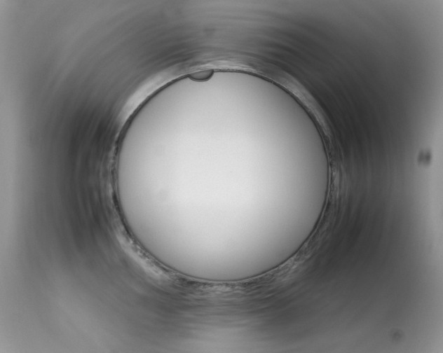 X0000113641002200909181325
