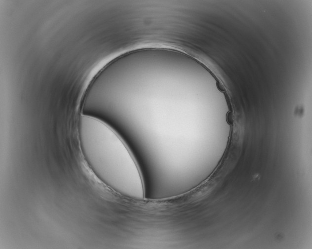 X0000113641004200909181325