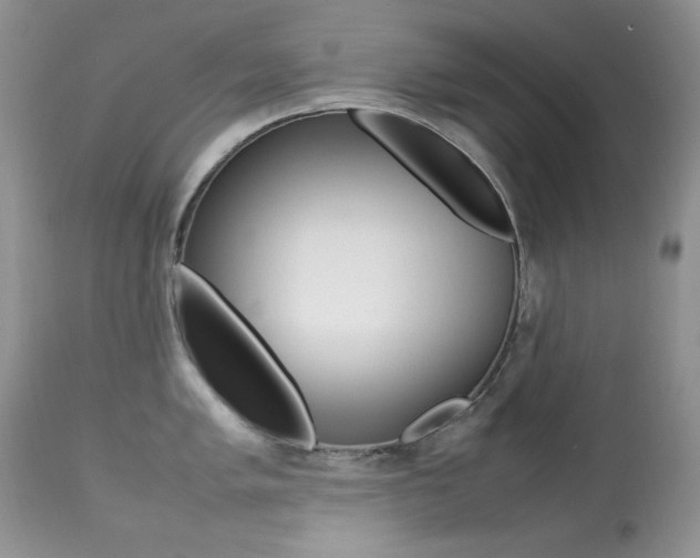 X0000113641005200909181325