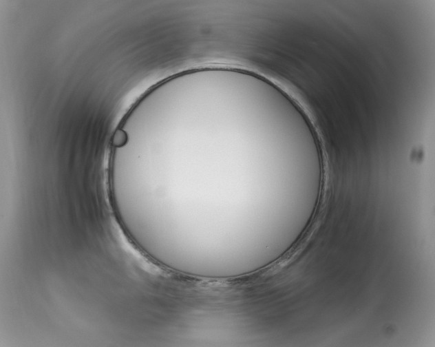 X0000113641006200909181325