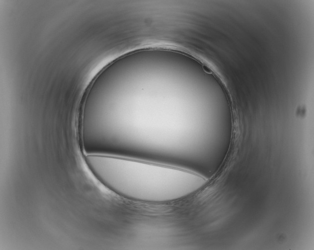 X0000113641007200909181325