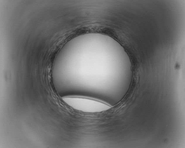 X0000113641010200909181324