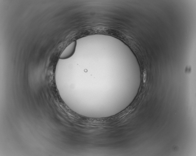 X0000113641011200909181324