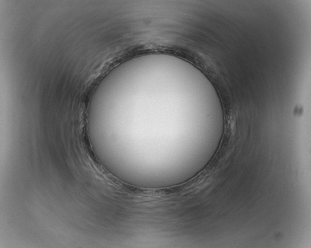 X0000113641012200909181324