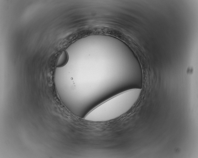 X0000113641013200909181324