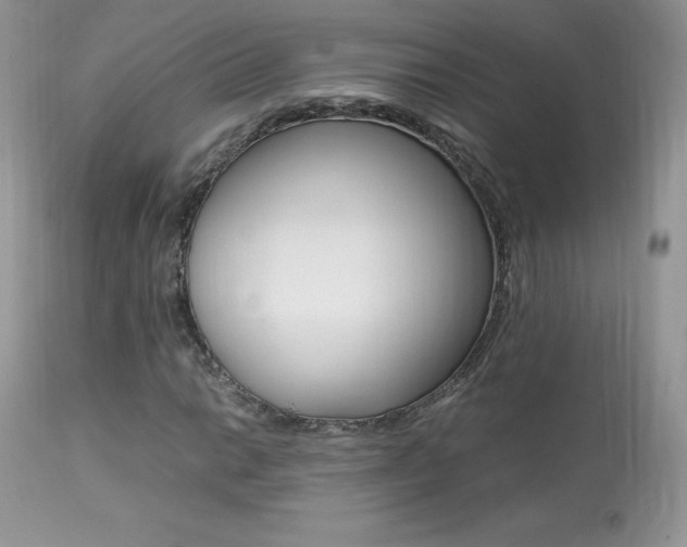 X0000113641014200909181324