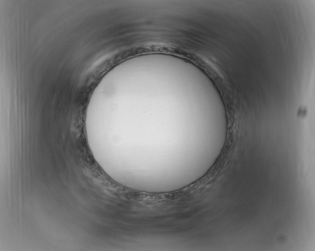 X0000113641015200909181324