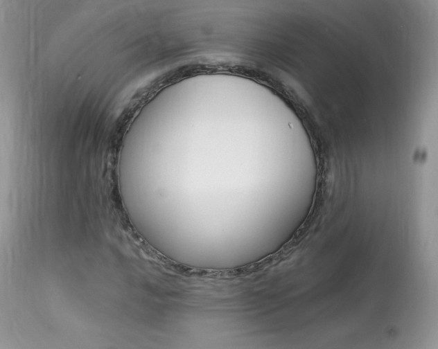 X0000113641016200909181324
