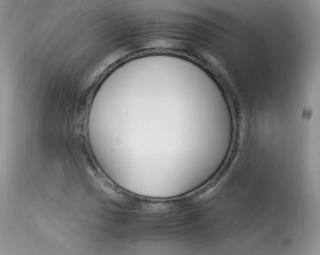 X0000113641017200909181324