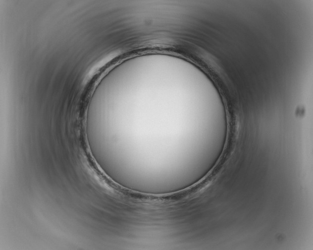 X0000113641018200909181324