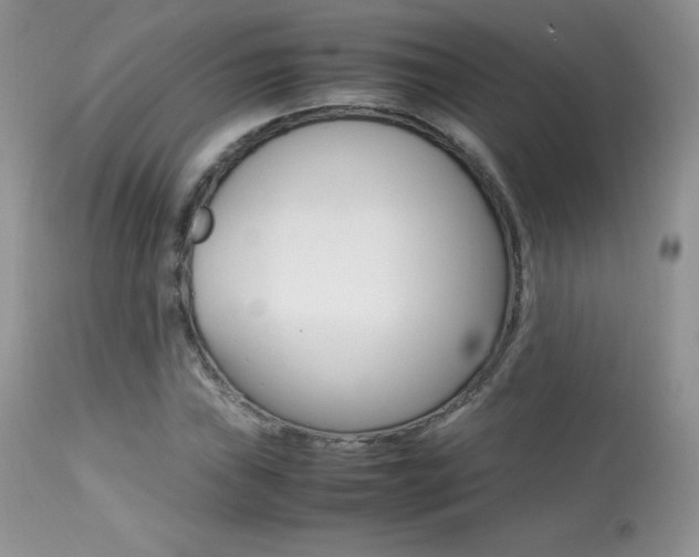 X0000113641019200909181324