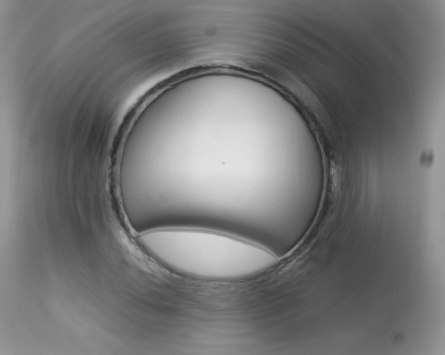 X0000113641020200909181324
