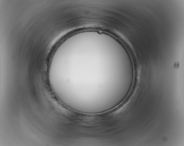 X0000113641021200909181324