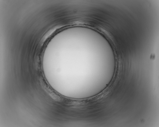 X0000113641023200909181324