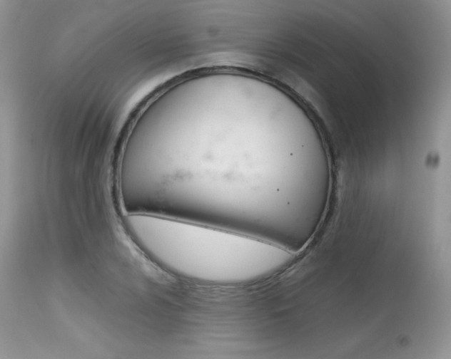 X0000113641024200909181324