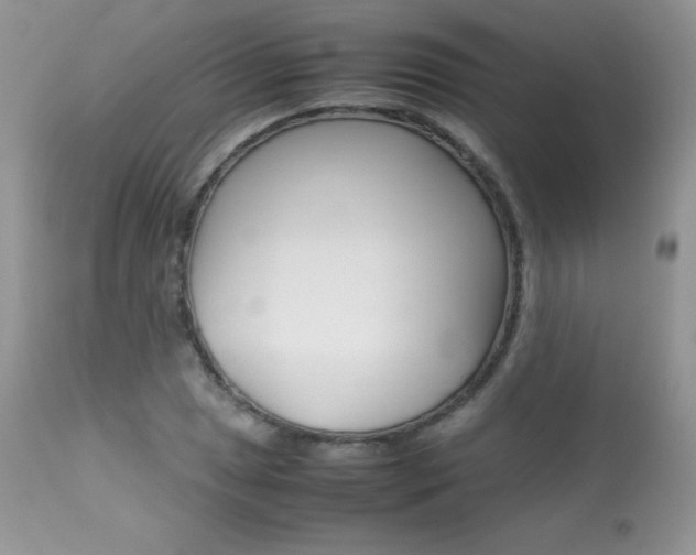 X0000113641025200909181324