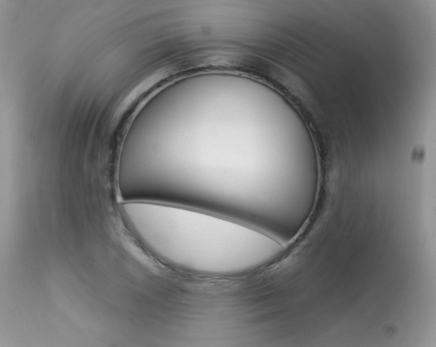 X0000113641026200909181324