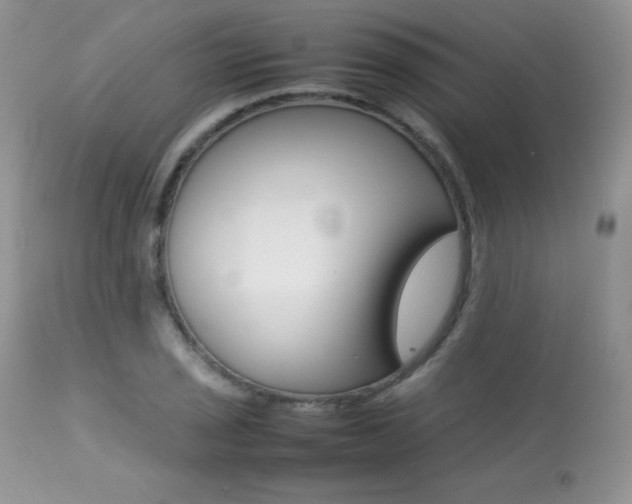 X0000113641029200909181324