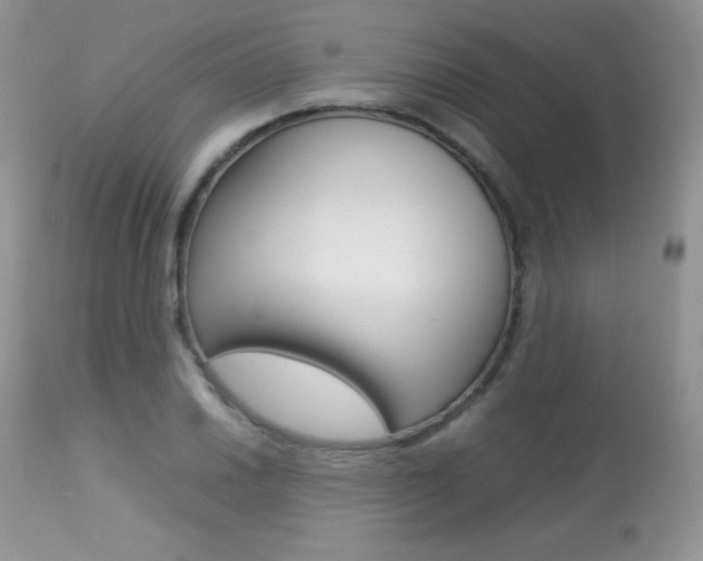 X0000113641030200909181324