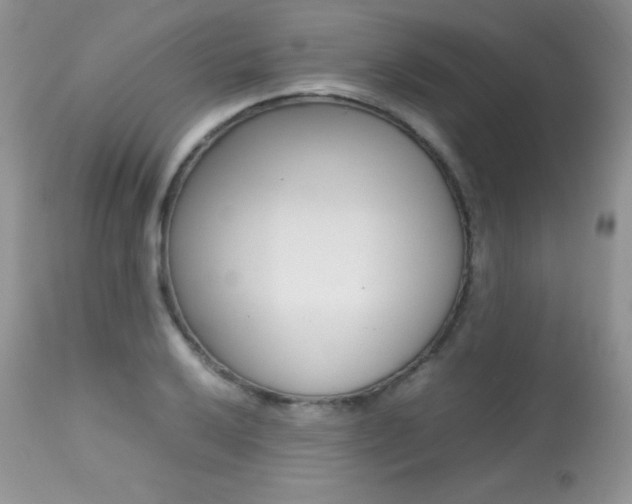 X0000113641032200909181324