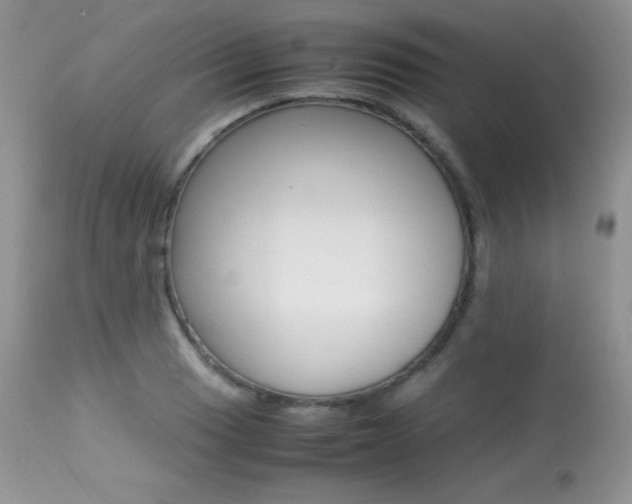 X0000113641033200909181324