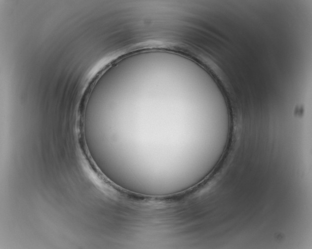 X0000113641034200909181324