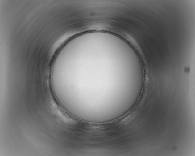 X0000113641035200909181324