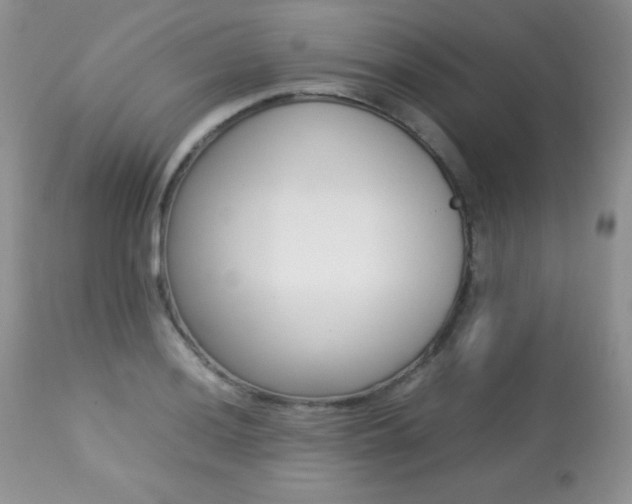 X0000113641036200909181324
