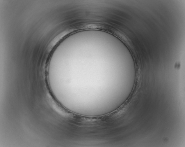 X0000113641039200909181324