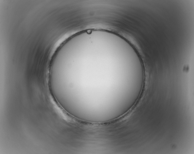 X0000113641040200909181324
