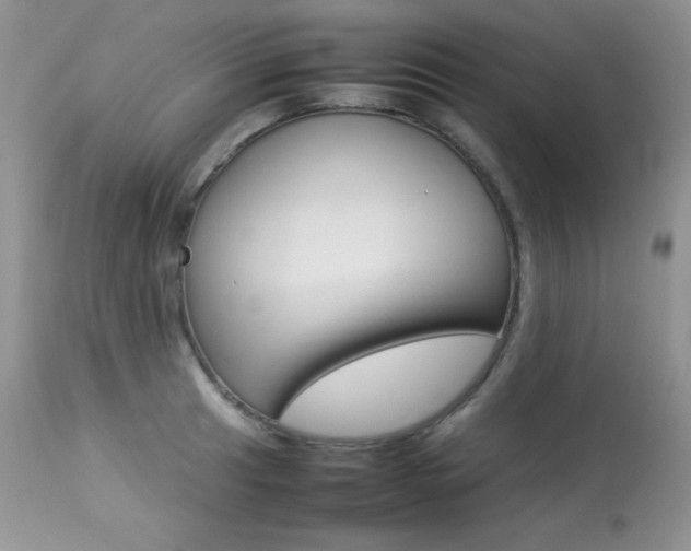 X0000113641041200909181324