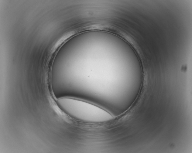 X0000113641042200909181324