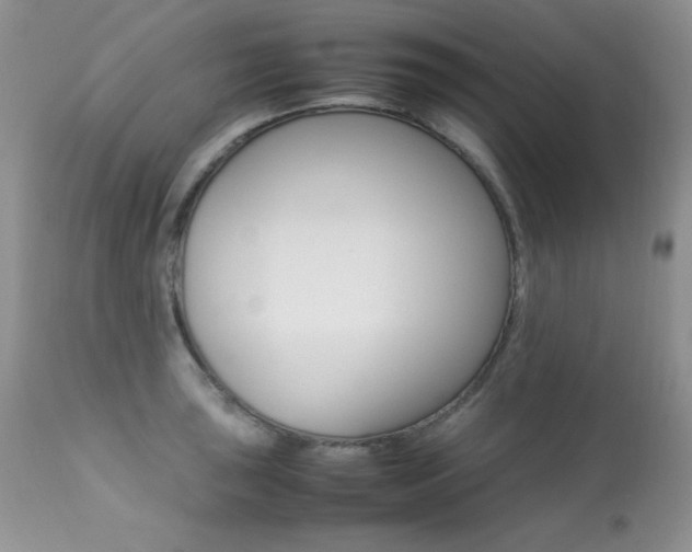 X0000113641043200909181324