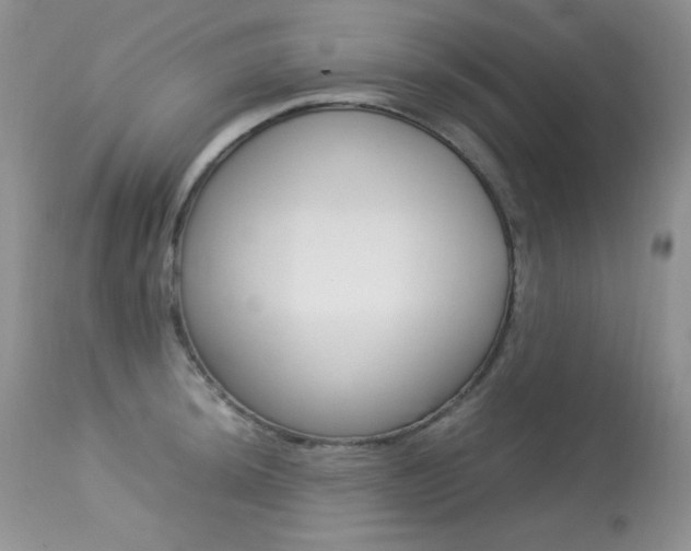 X0000113641044200909181324