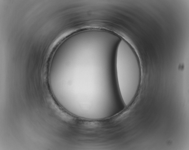 X0000113641045200909181324