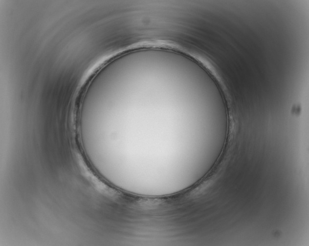 X0000113641046200909181324