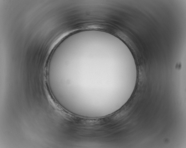 X0000113641047200909181324